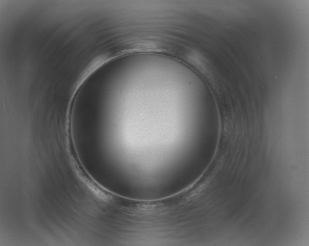 X0000068281378200604211100