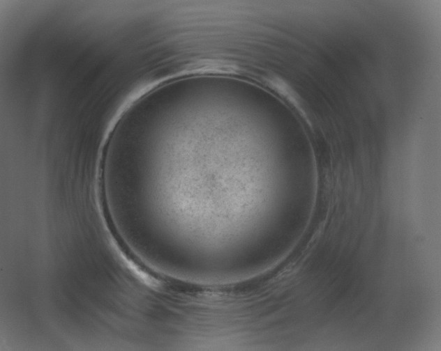X0000068281379200604211100