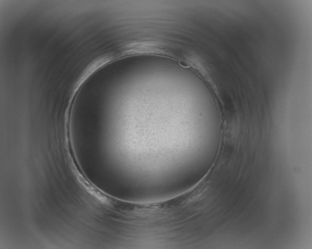 X0000068281386200604211059