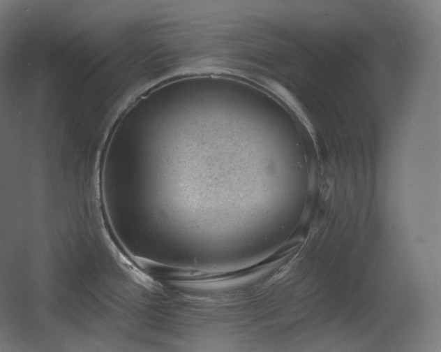 X0000068281388200604211059
