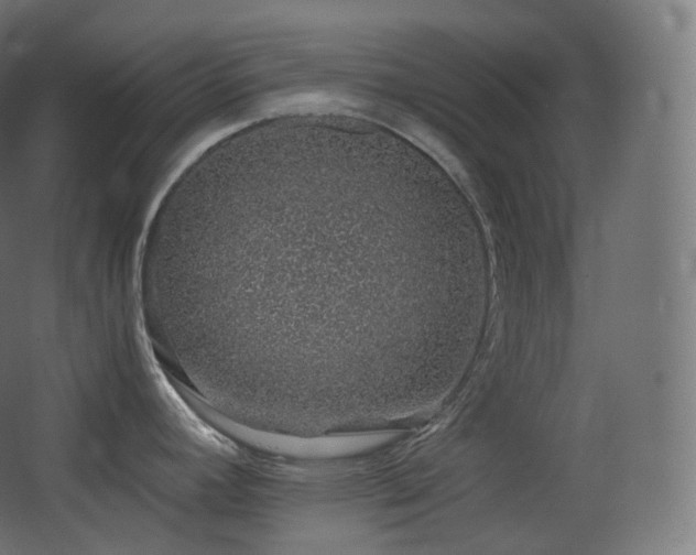 X0000068281392200604211059