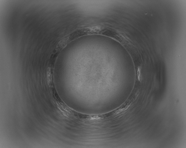 X0000068281395200604211059