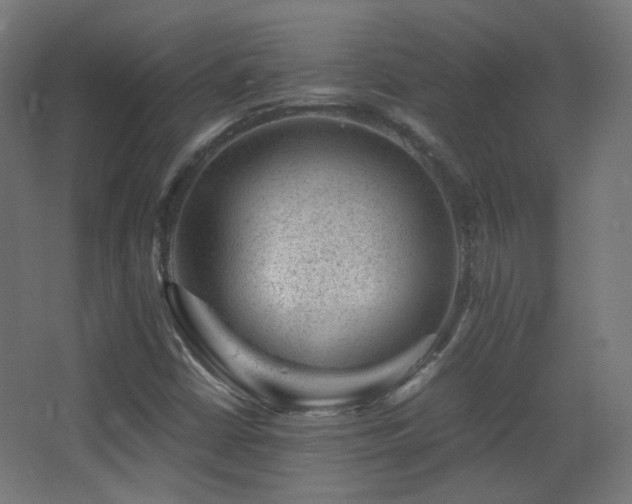 X0000068281402200604211059