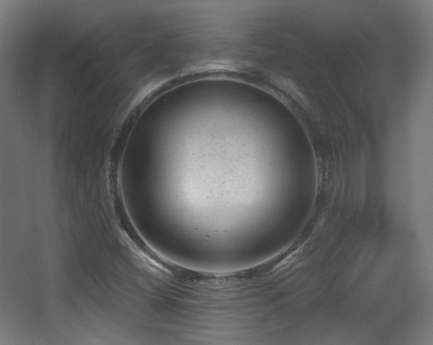 X0000068281404200604211059