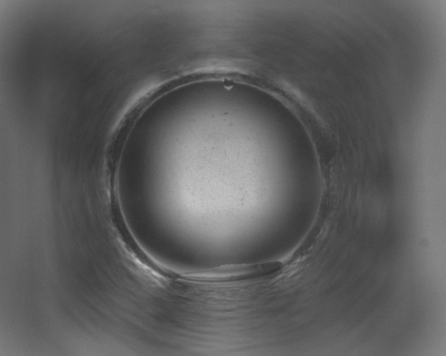X0000068281408200604211059