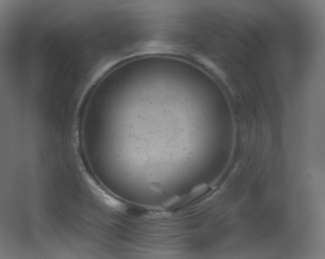 X0000068281415200604211059