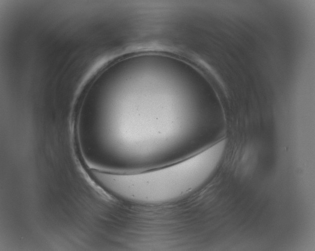 X0000068281416200604211059