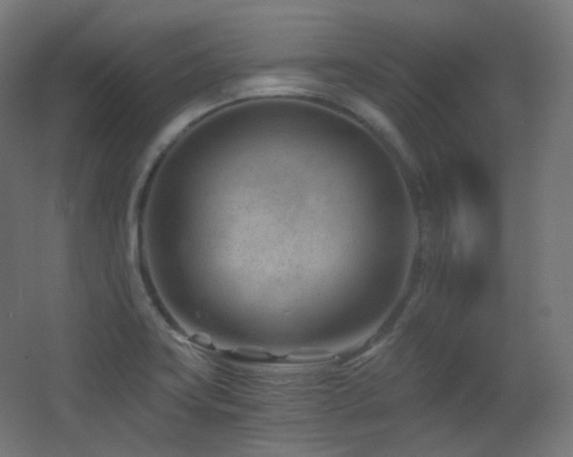 X0000068281419200604211059