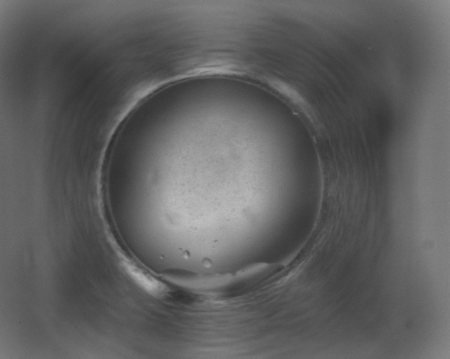 X0000068281423200604211059