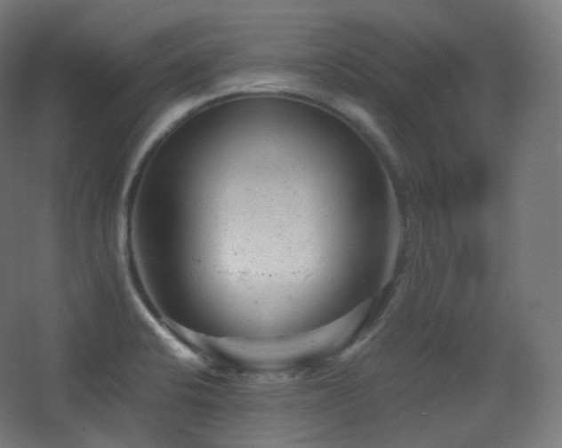 X0000068281424200604211059