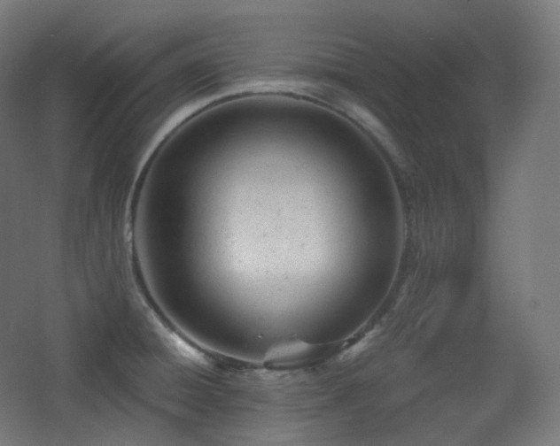 X0000068281428200604211059