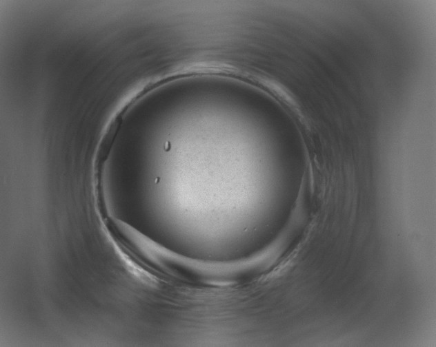 X0000068281430200604211059