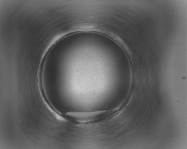 X0000068281432200604211059