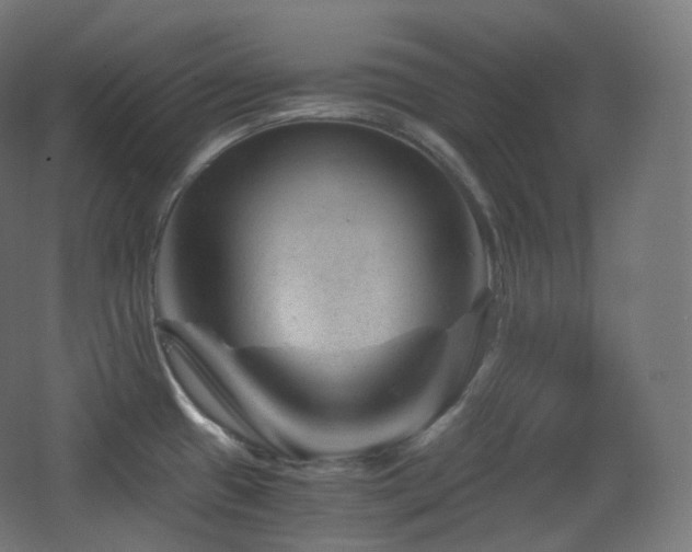 X0000068281433200604211059