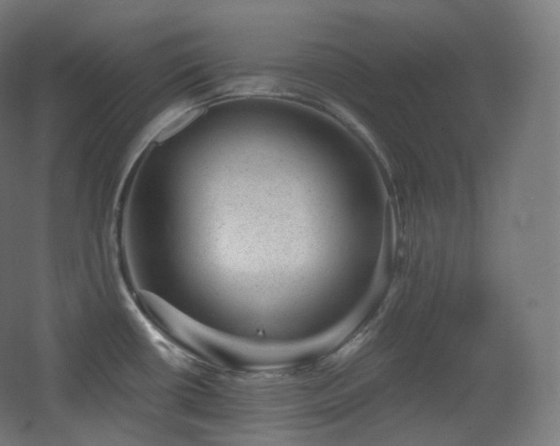 X0000068281434200604211059