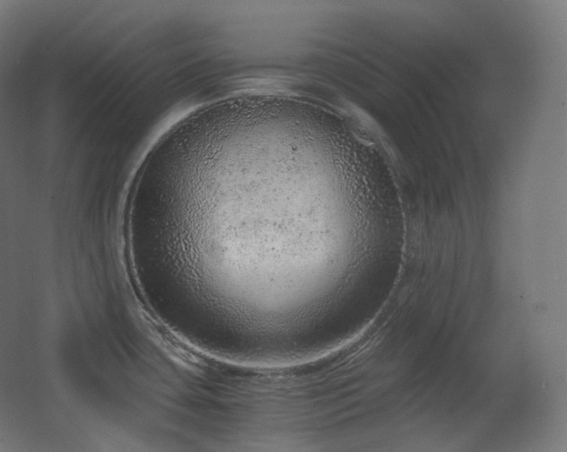 X0000068281435200604211059