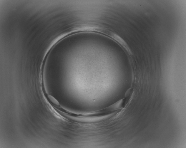 X0000068281436200604211059