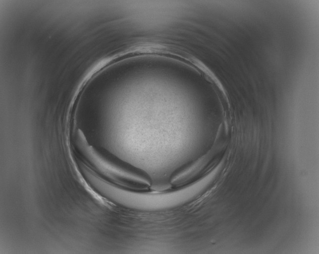 X0000068281437200604211059