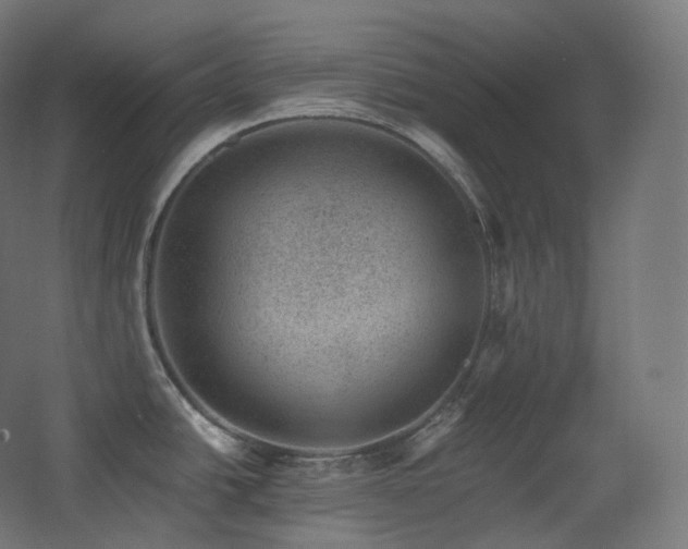 X0000068281438200604211059