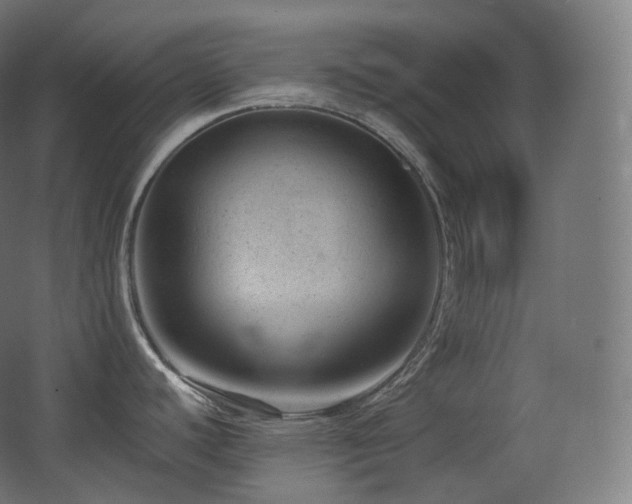 X0000068281440200604211059