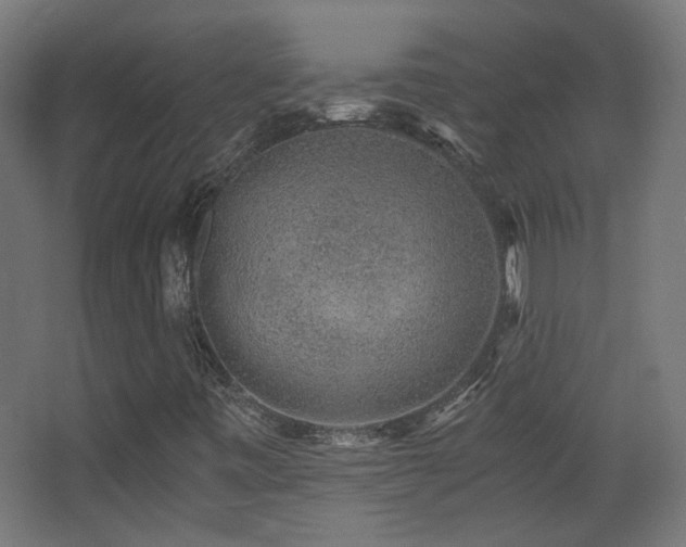 X0000068281443200604211059