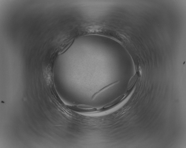 X0000068281444200604211059
