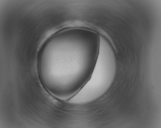 X0000068281464200604211058