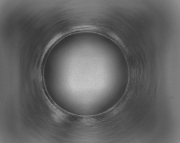 X0000068281466200604211058