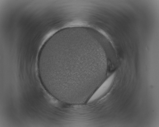 X0000068281469200604211058