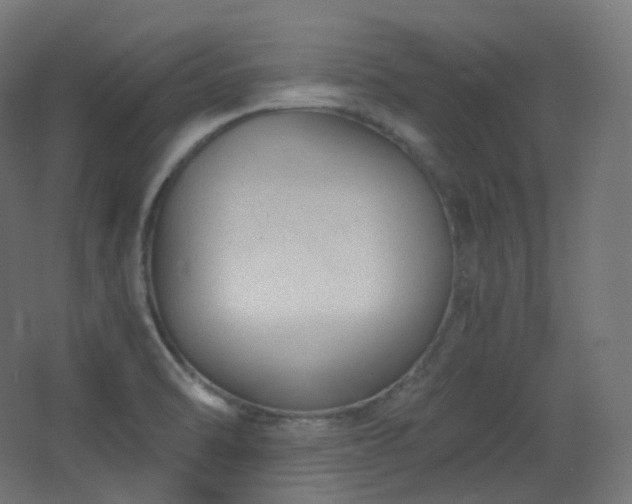 X0000068281470200604211058