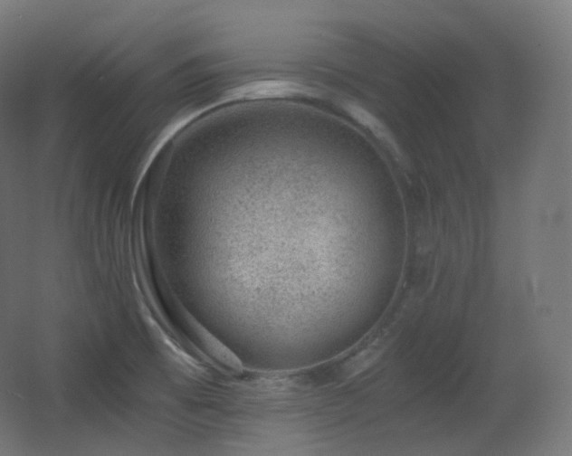 X0000068281473200604211058