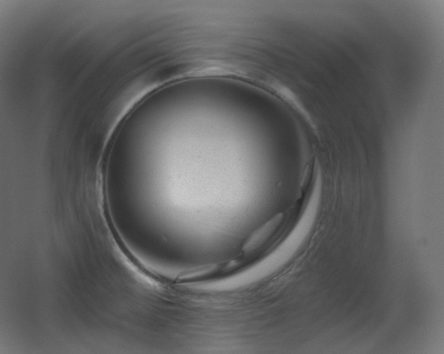 X0000068281476200604211058