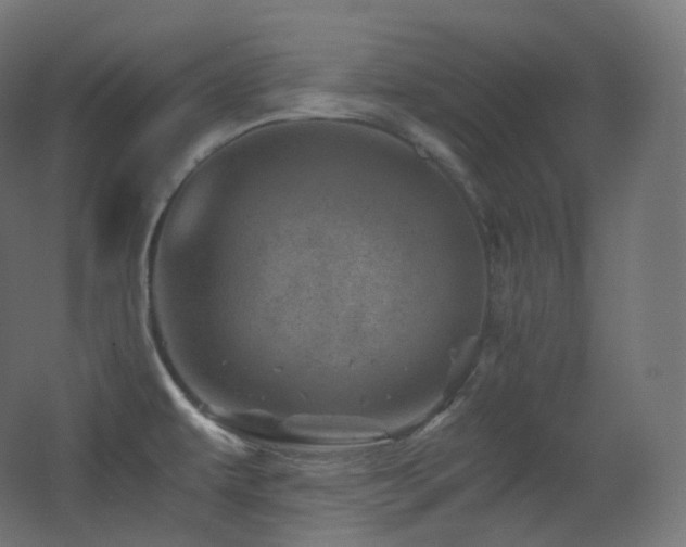 X0000068281479200604211058