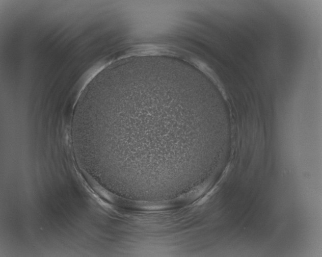 X0000068281481200604211058