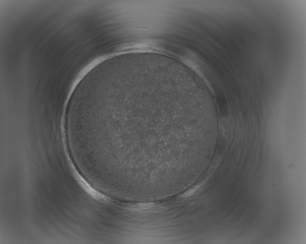 X0000068281482200604211058