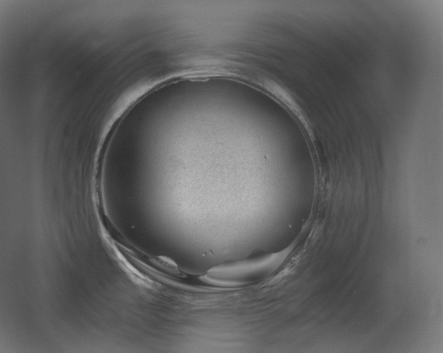 X0000068281485200604211058