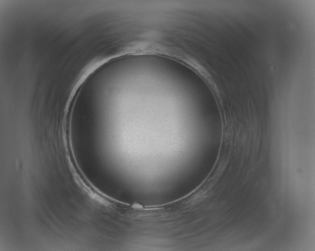 X0000068281486200604211058