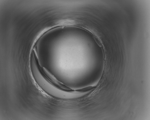 X0000068281488200604211058