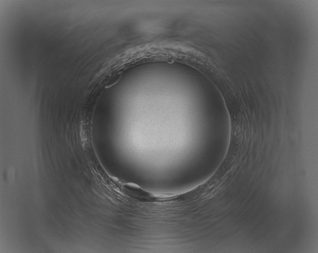 X0000068281490200604211057