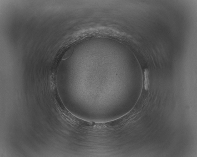 X0000068281491200604211057