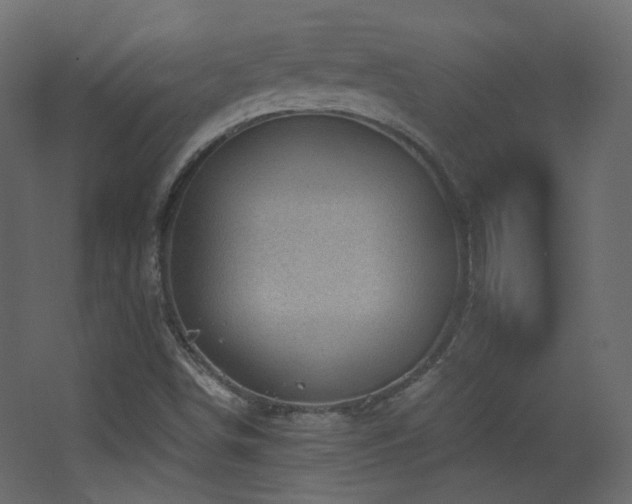 X0000068281498200604211057