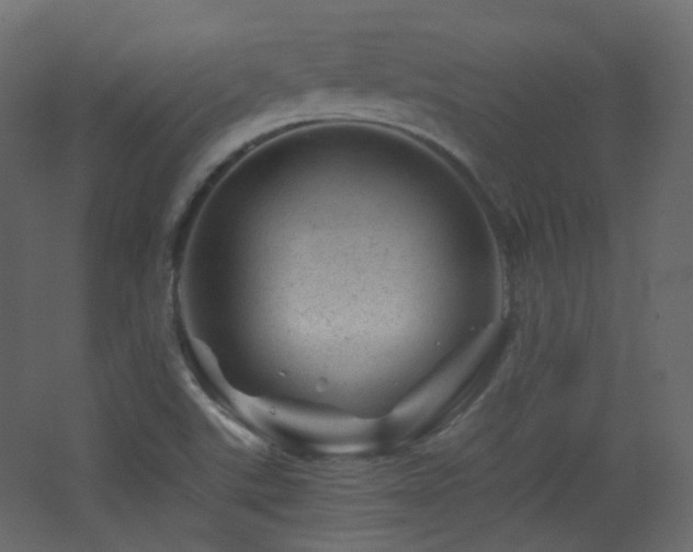 X0000068281507200604211057