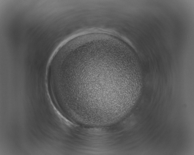X0000068281508200604211057