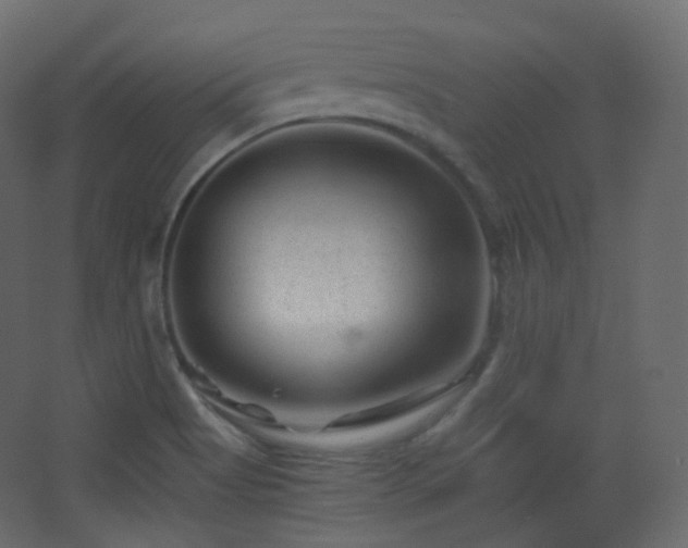 X0000068281513200604211057