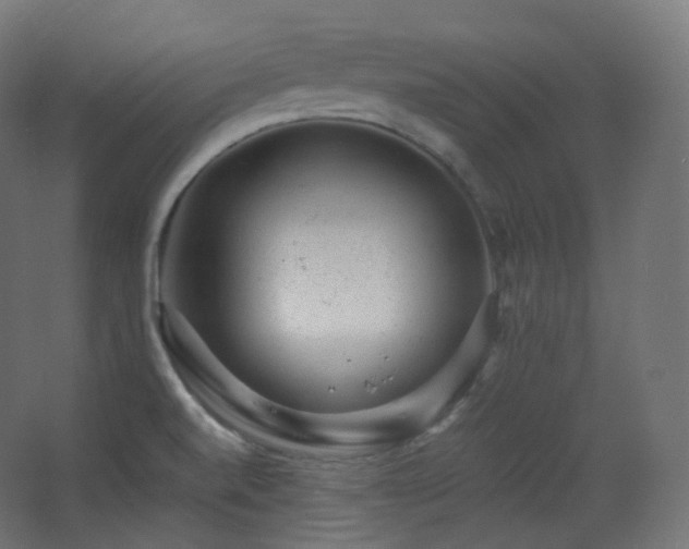 X0000068281520200604211058