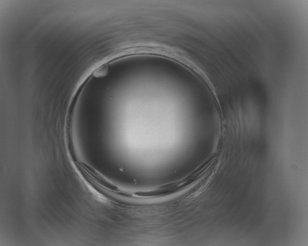 X0000068281533200604211058