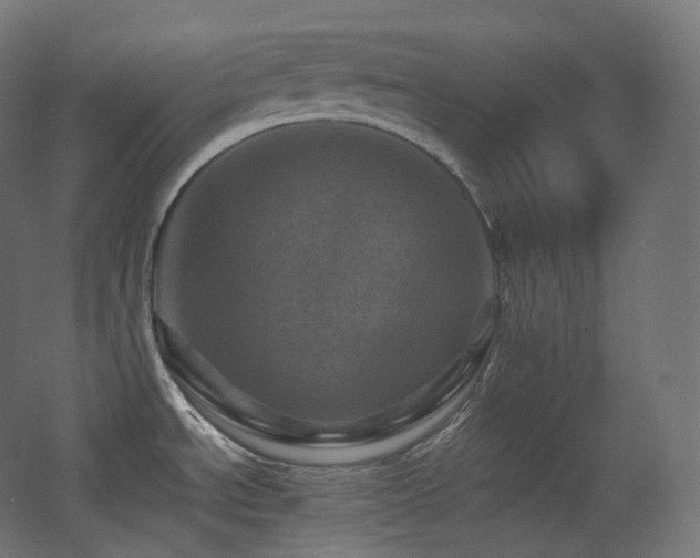 X0000068281534200604211058