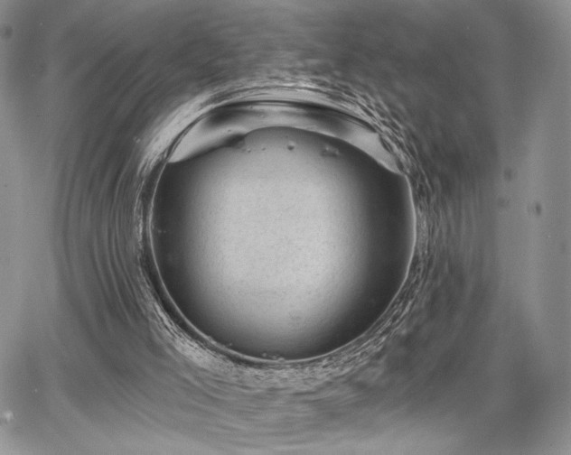 X0000068280005200604241245
