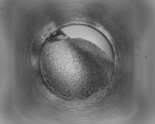 X0000068280009200604241245