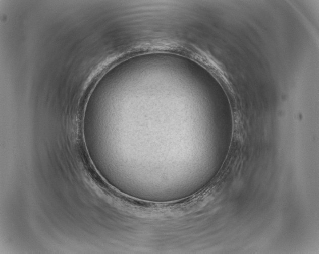 X0000068280012200604241245